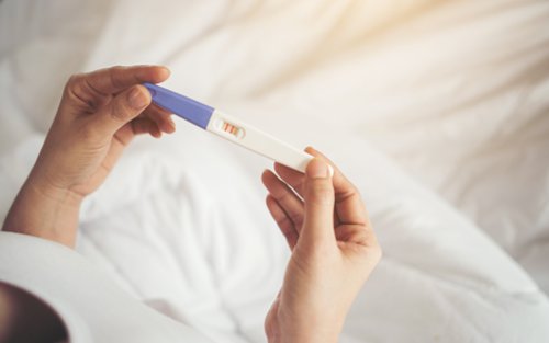 Protocolo de Paulus e acupuntura em Curitiba